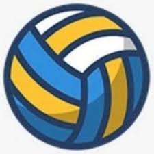 Web Vôlei