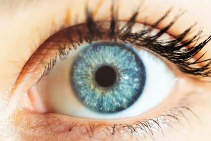 este-implante-ocular-promete-restaurar-a-visao