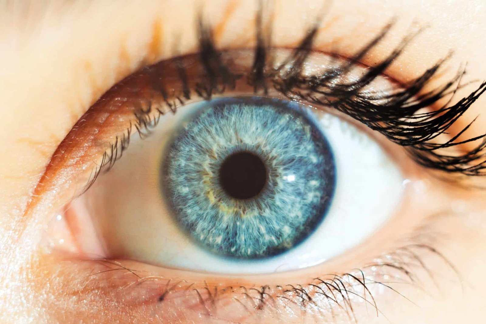 este-implante-ocular-promete-restaurar-a-visao