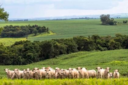emissoes-da-producao-de-carne-no-brasil-extrapolam-limites-internacionais