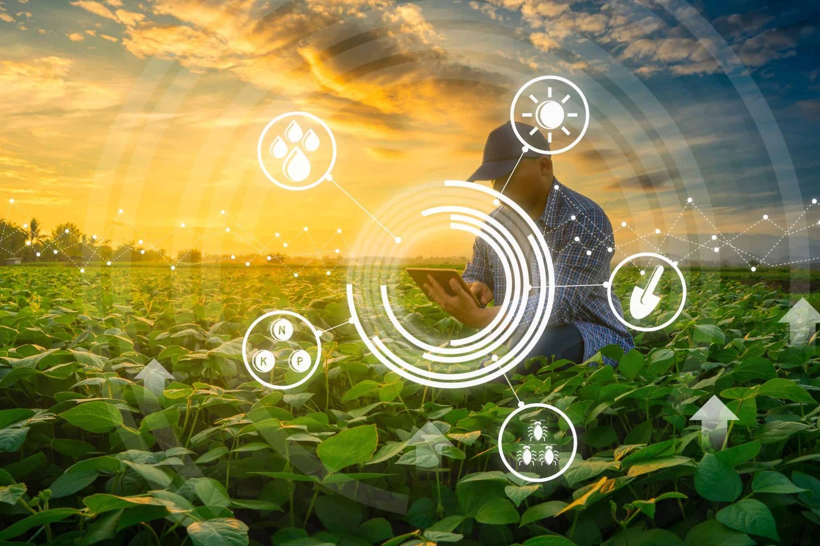 nova-pesquisa-mostra-como-sera-a-agricultura-do-futuro