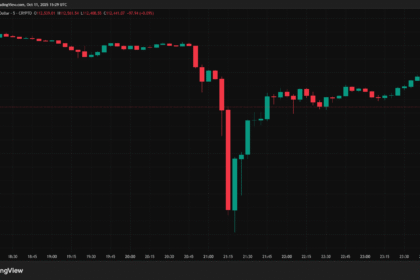 desconhecido-aposta-contra-o-bitcoin-pouco-antes-de-anuncio-de-trump-e-fatura-r$-1-bi