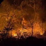 incendio-na-chapada-dos-veadeiros-causa-destruicao-no-parque-nacional