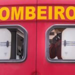 tres-capivaras-sao-encontradas-mortas-em-via-do-df