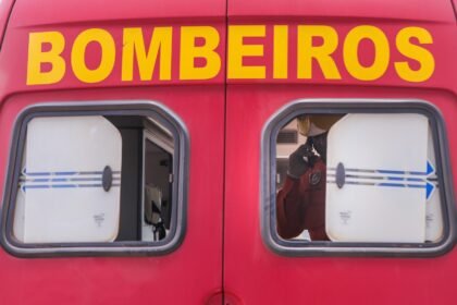tres-capivaras-sao-encontradas-mortas-em-via-do-df
