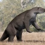 estudo-mostra-que-primeiros-sul-americanos-cacavam-animais-gigantes