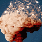 mudancas-no-formato-do-cerebro-podem-indicar-demencia,-diz-estudo