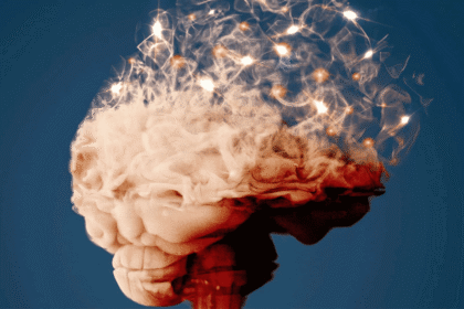 mudancas-no-formato-do-cerebro-podem-indicar-demencia,-diz-estudo