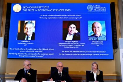 nobel-de-economia:-teoria-levanta-debate-sobre-redes-e-tarifas,-diz-economista