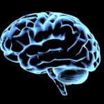 atividades-criativas-retardam-envelhecimento-do-cerebro,-revela-estudo