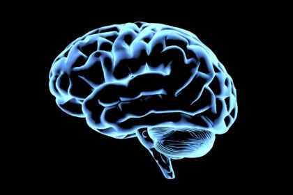 atividades-criativas-retardam-envelhecimento-do-cerebro,-revela-estudo