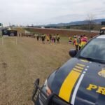 operacao-aparecida-2025:-prf-divulga-balanco-de-blitze-na-dutra.-veja