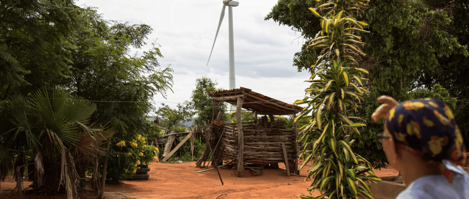 financiamento-climatico-no-brasil-e-desigual-e-injusto,-aponta-relatorio