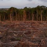 ue-decide-adiar-lei-antidesmatamento-por-mais-um-ano;-a-culpa-e-da-ti
