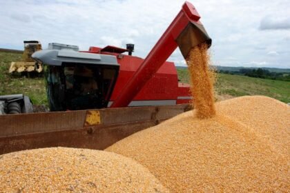 china-aprova-96-variedades-transgenicas-de-milho-e-duas-de-soja