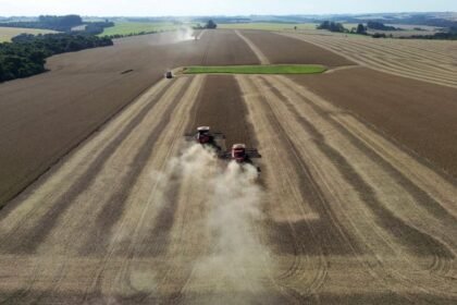 mt-concentra-6-das-10-cidades-com-maior-pib-agricola-do-pais;-veja-ranking