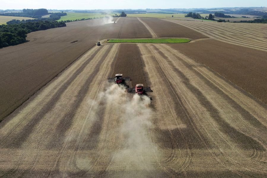 mt-concentra-6-das-10-cidades-com-maior-pib-agricola-do-pais;-veja-ranking