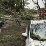 vendaval-derruba-arvore-em-cima-de-quatro-carros-na-asa-norte