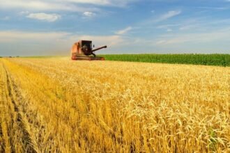 pib-da-agropecuaria-cai-0,1%-no-2o-tri-apos-salto-nos-3-primeiros-meses-do-ano