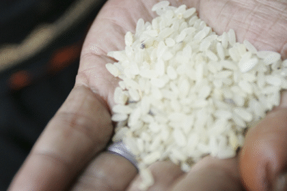 conab-anuncia-r$-300-mi-para-apoiar-produtores-de-arroz-no-brasil