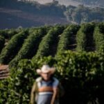 tarifaco-faz-preco-do-cafe-voltar-a-engatar-alta-no-mercado-global