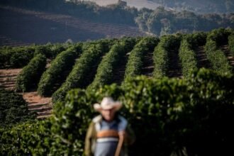 tarifaco-faz-preco-do-cafe-voltar-a-engatar-alta-no-mercado-global