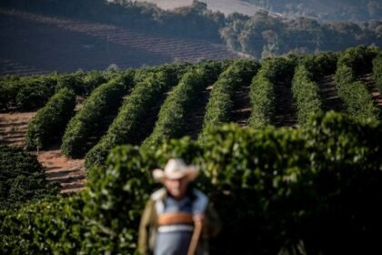 tarifaco-faz-preco-do-cafe-voltar-a-engatar-alta-no-mercado-global