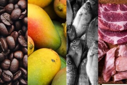 produtos-atingidos-por-tarifaco-dos-eua-podem-ficar-mais-baratos-no-brasil?