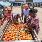 como-triciclos-eletricos-estao-ajudando-agricultoras-do-zimbabue-a-conseguir-precos-melhores