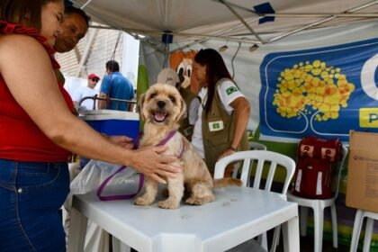 df-abre-vagas-para-castracao-gratuita-de-pets.-veja-como-se-inscrever