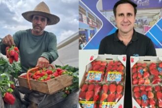 ‘morango-do-amor’:-demanda-pela-fruta-aumenta,-precos-sobem-e-produtor-comemora:-‘nunca-vi-uma-explosao-como-essa’