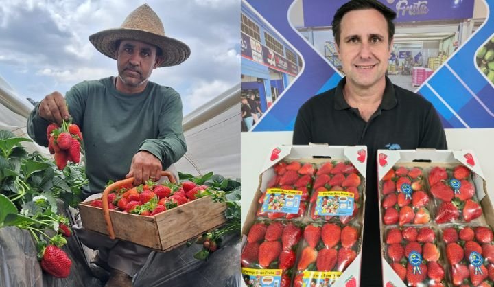 ‘morango-do-amor’:-demanda-pela-fruta-aumenta,-precos-sobem-e-produtor-comemora:-‘nunca-vi-uma-explosao-como-essa’