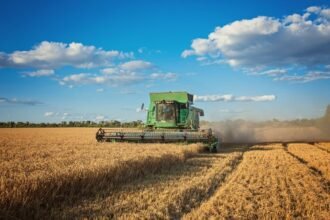 bb-direcionou-r$-6,2-bilhoes-em-financiamentos-agropecuarios-do-plano-safra