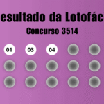 resultado-da-lotofacil-de-hoje:-veja-numeros-e-ganhadores-do-concurso-3514-(quinta,-16/10)