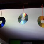 cds-podem-proteger-sua-casa-de-insetos-e-aves;-entenda-como