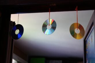 cds-podem-proteger-sua-casa-de-insetos-e-aves;-entenda-como