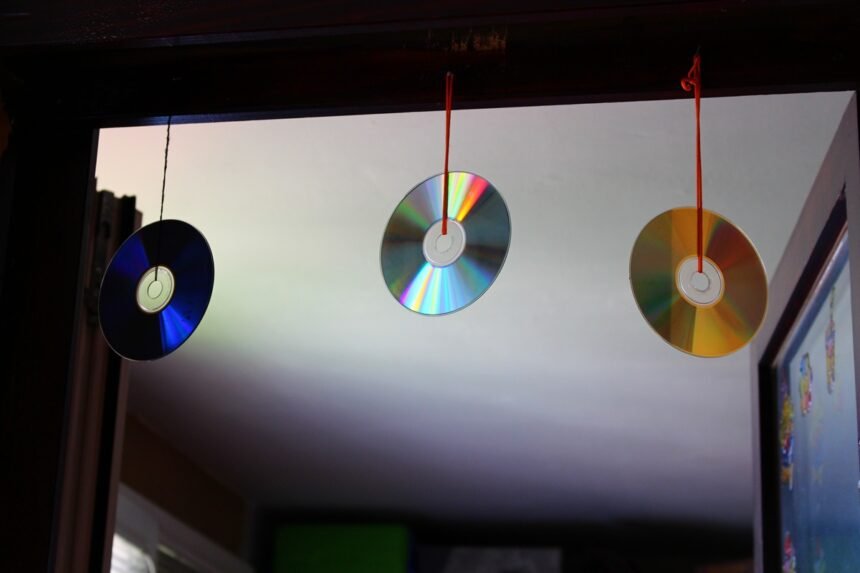 cds-podem-proteger-sua-casa-de-insetos-e-aves;-entenda-como