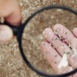 microplasticos-podem-se-‘camuflar’-contra-as-defesas-do-nosso-corpo,-revela-estudo