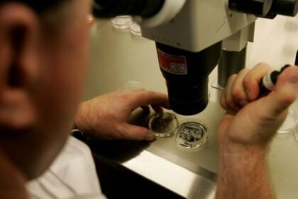 pela-primeira-vez,-cientistas-transformam-celulas-da-pele-em-ovulos-fecundaveis