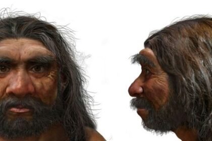 cranio-de-um-milhao-de-anos-encontrado-na-china-pode-reescrever-a-historia-da-evolucao-humana