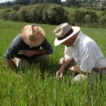 inadimplencia-do-produtor-rural-do-brasil-avanca-para-7,9%-no-1o-tri,-diz-serasa