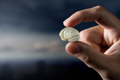 mini-cerebros-humanos-podem-substituir-chips-de-computador-como-“processadores-biologicos”