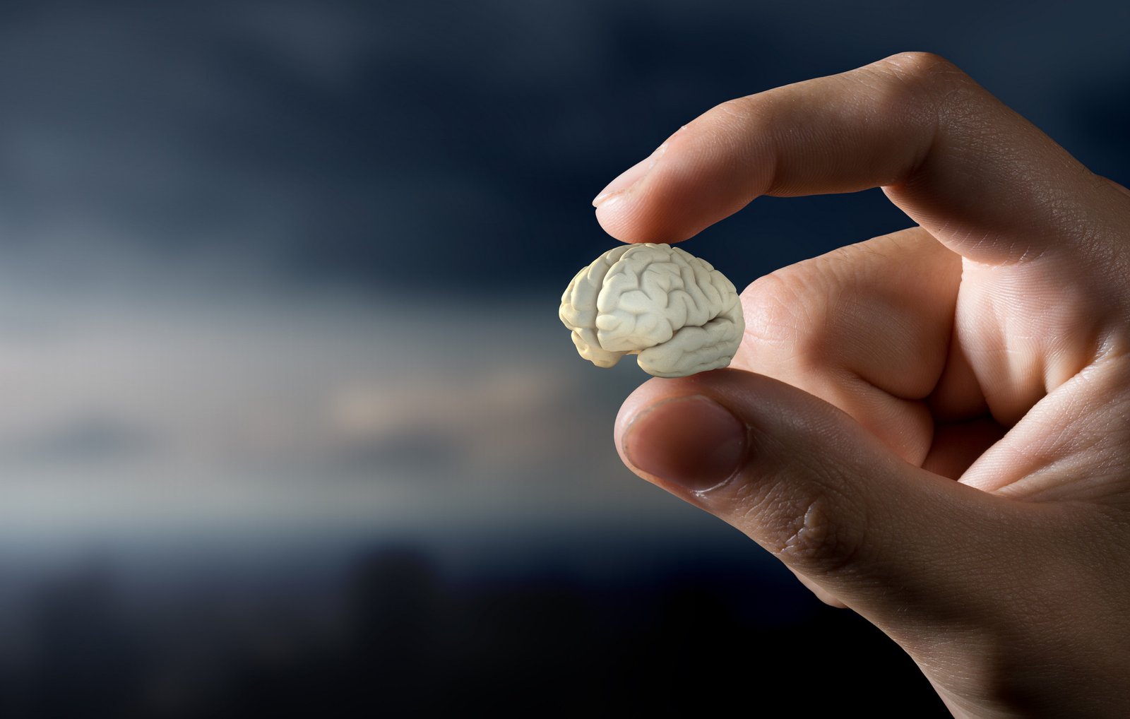 mini-cerebros-humanos-podem-substituir-chips-de-computador-como-“processadores-biologicos”