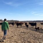 fazendeiros-dos-eua-criticam-proposta-de-trump-para-importar-carne-da-argentina
