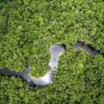 perfuracao-no-amazonas:-ambientalistas-vao-recorrer-a-justica