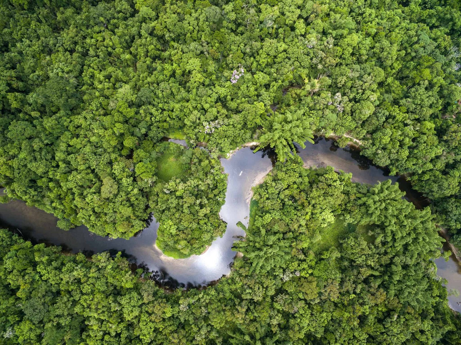 perfuracao-no-amazonas:-ambientalistas-vao-recorrer-a-justica