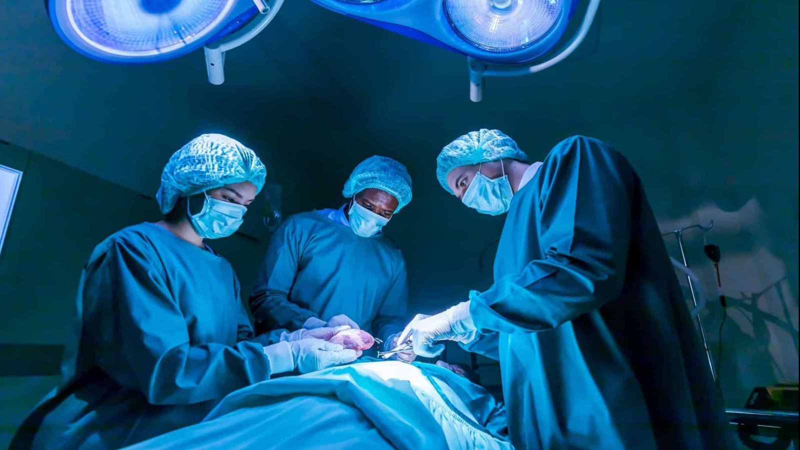 quais-os-riscos-de-um-transplante-de-orgao?