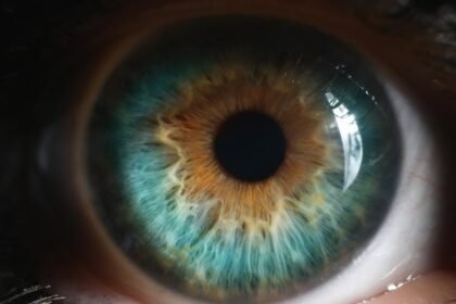 chip-nos-olhos-devolve-visao-apos-perda-parcial