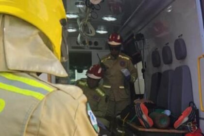 corpo-de-bombeiros-do-parana-registra-cerca-de-300-ataques-de-caes-em-2025;-cuidado-e-fundamental