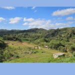 consulta-publica-de-sao-jose-dos-pinhais-busca-sugestoes-para-a-rota-caminhos-do-peabiru